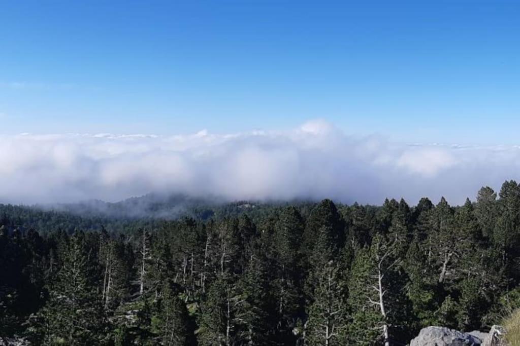Studio La Pierre Saint Martin Refait Au Gout Du Jour Vue Sur La Vallee المظهر الخارجي الصورة